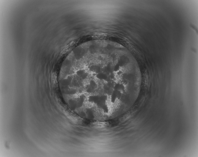 X0000099490711200806051059