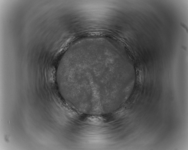 X0000099490712200806051058