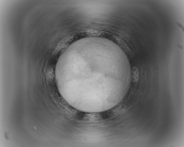 X0000099490713200806051058