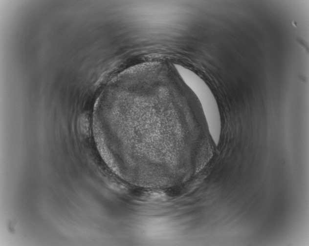 X0000099490715200806051058