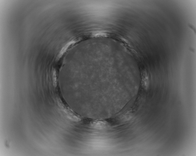 X0000099490716200806051058