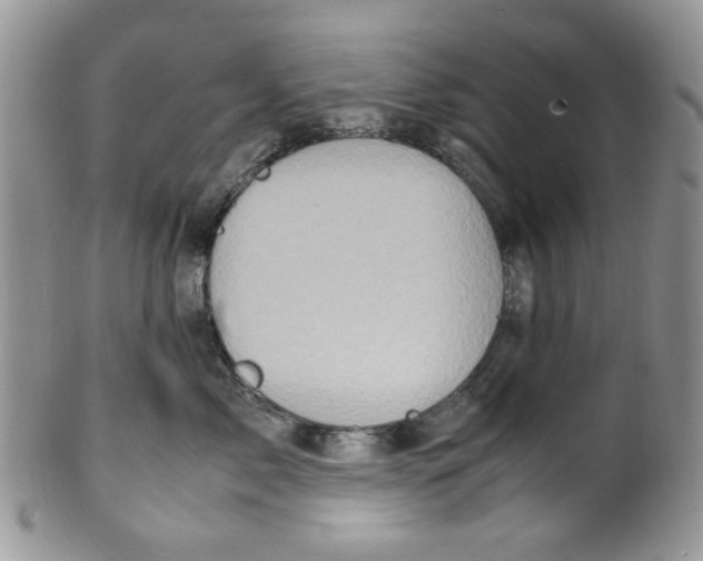 X0000099490717200806051058