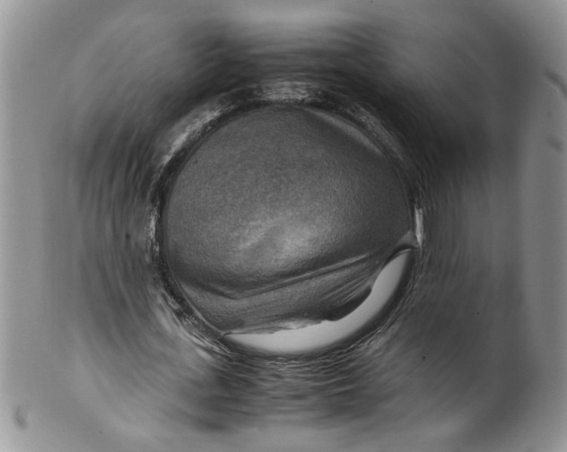 X0000099490723200806051058