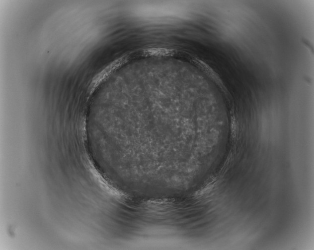 X0000099490725200806051058