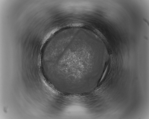 X0000099490726200806051058