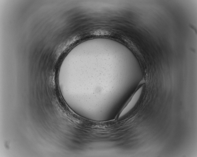 X0000099490727200806051058