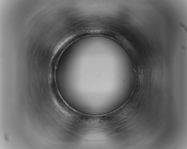 X0000099490728200806051058