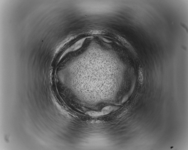 X0000099490730200806051058