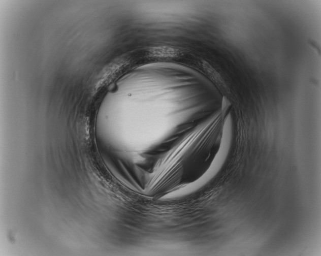 X0000099490731200806051058