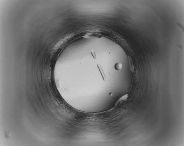 X0000099490732200806051058