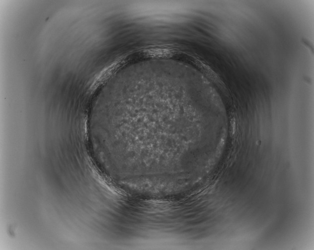 X0000099490733200806051058