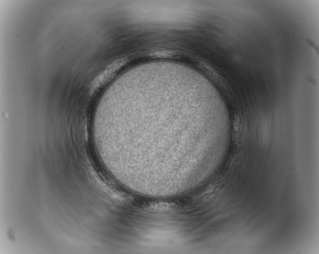 X0000099490734200806051058