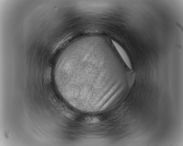 X0000099490735200806051058