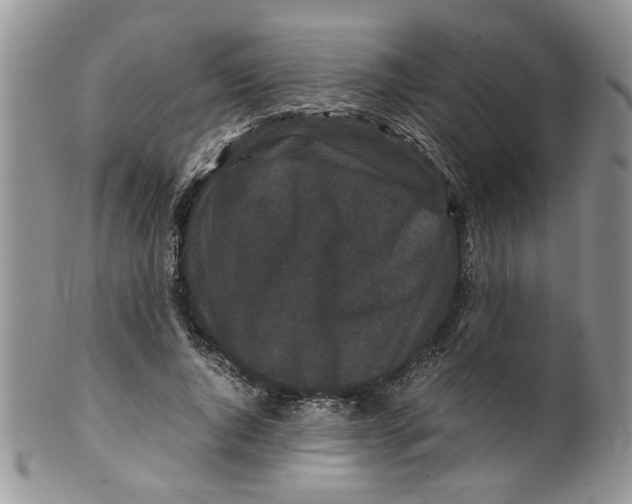 X0000099490736200806051058