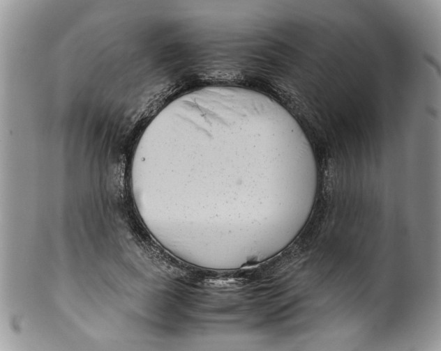 X0000099490739200806051058