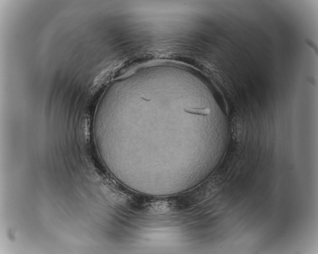 X0000099490740200806051058