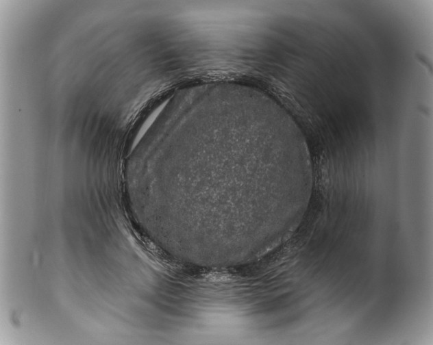 X0000099490742200806051058