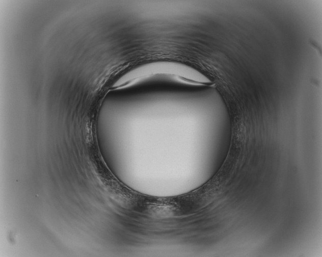 X0000099490743200806051058