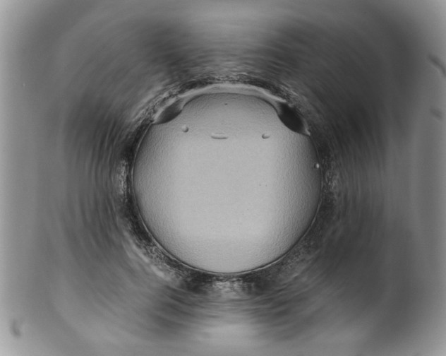 X0000099490744200806051058