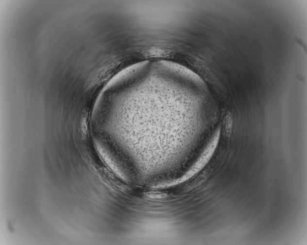 X0000099490746200806051058