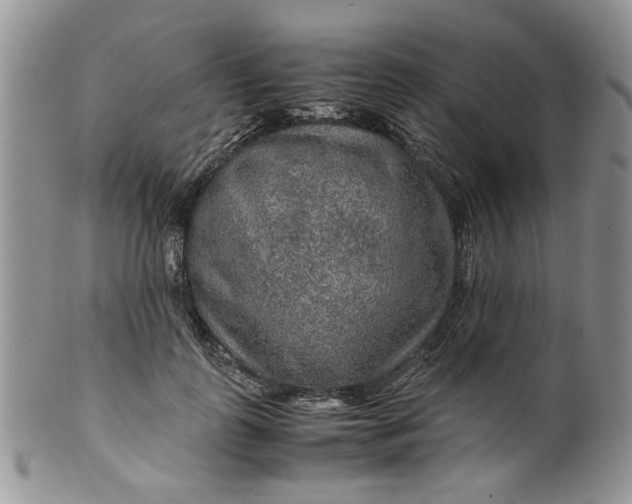 X0000099490747200806051058