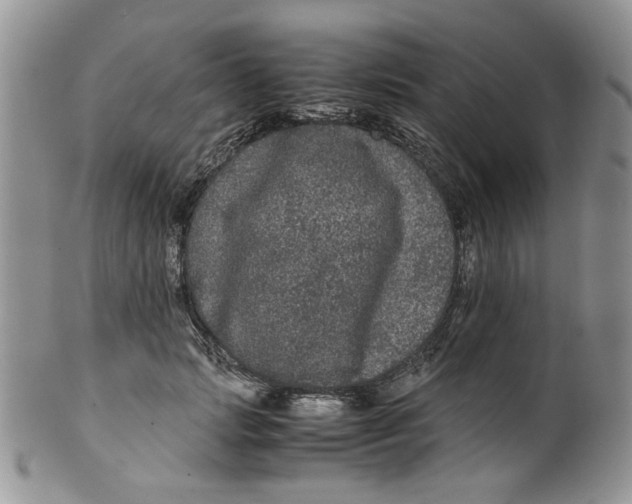 X0000099490749200806051058