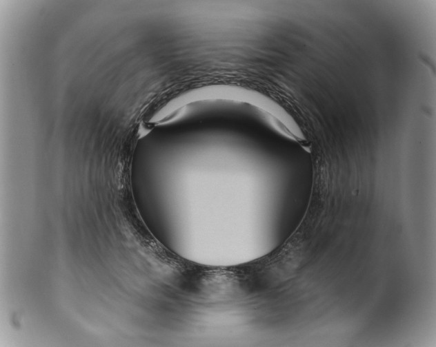 X0000099490750200806051058