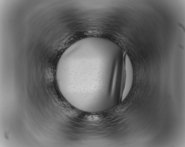 X0000099490751200806051058