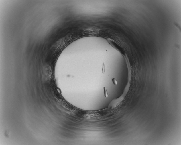 X0000099490752200806051058