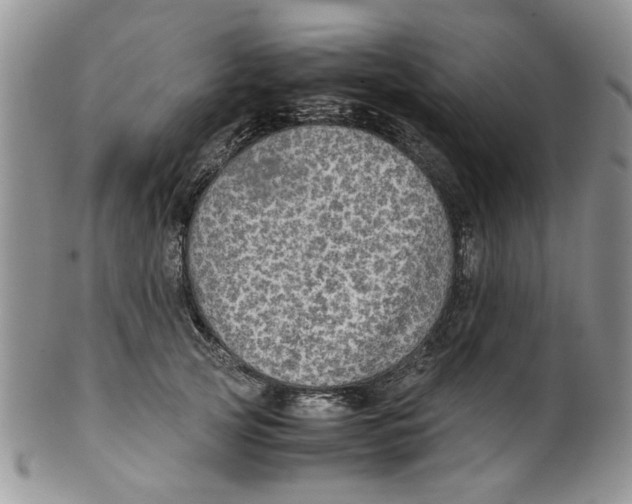 X0000099490753200806051058