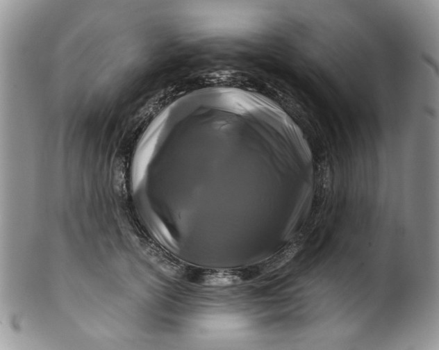 X0000099490754200806051058