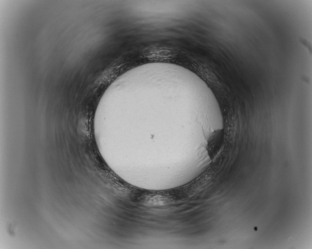 X0000099490755200806051058