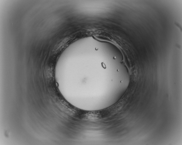 X0000099490756200806051058