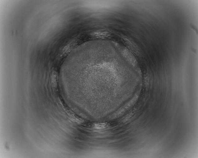 X0000099490757200806051058