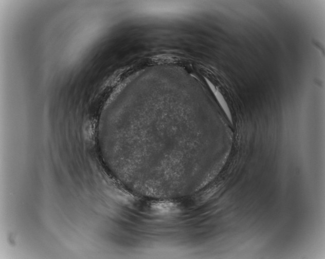 X0000099490759200806051058