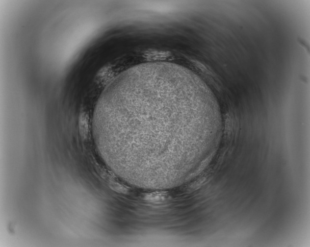 X0000099490761200806051058