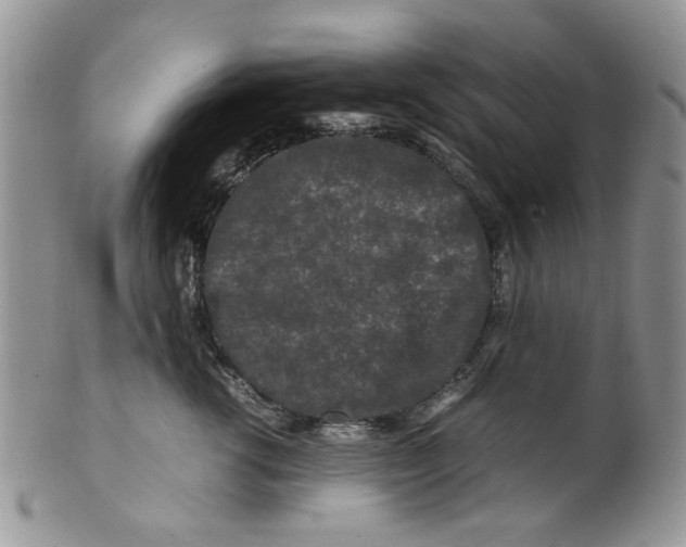 X0000099490762200806051058