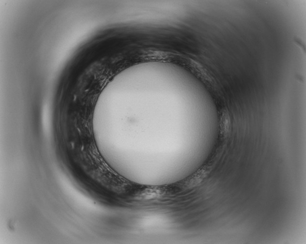 X0000099490764200806051058