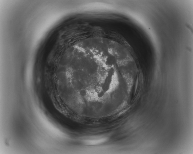 X0000099490765200806051058