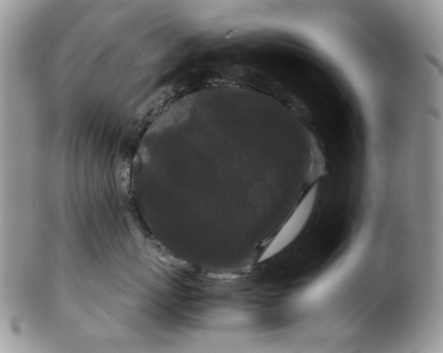 X0000099490767200806051058