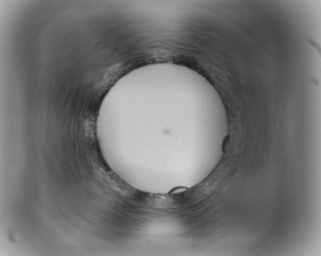 X0000099490768200806051058