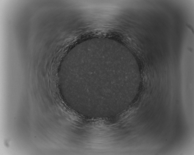 X0000099490769200806051058