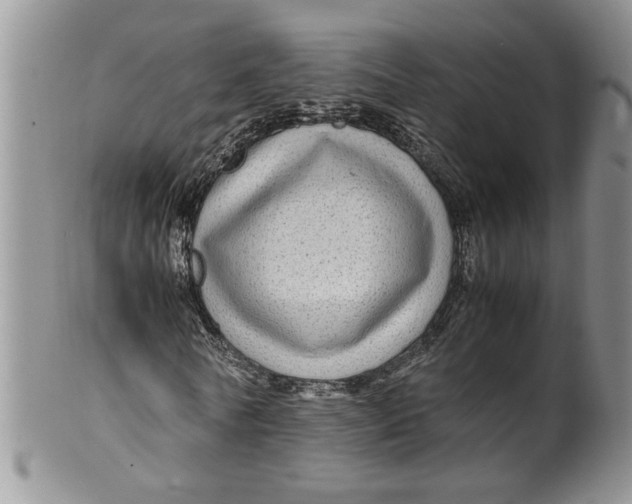 X0000099490770200806051058