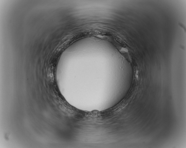 X0000099490771200806051058