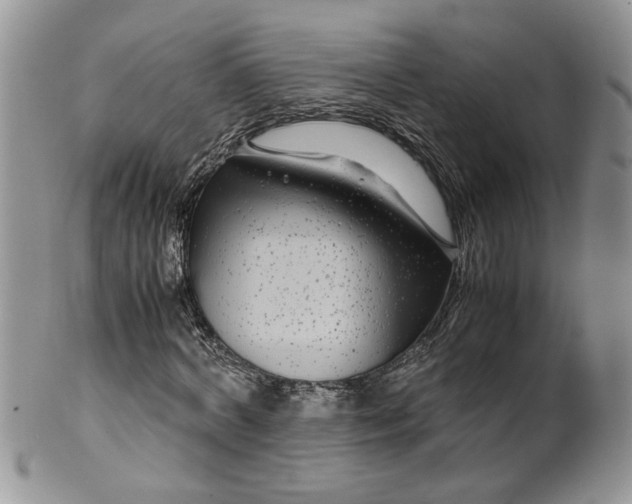 X0000099490772200806051058