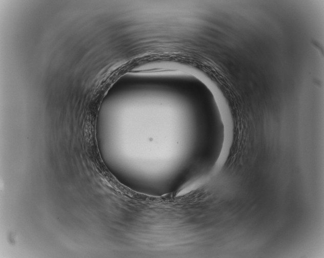 X0000099490773200806051058