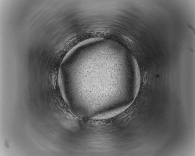 X0000099490774200806051058