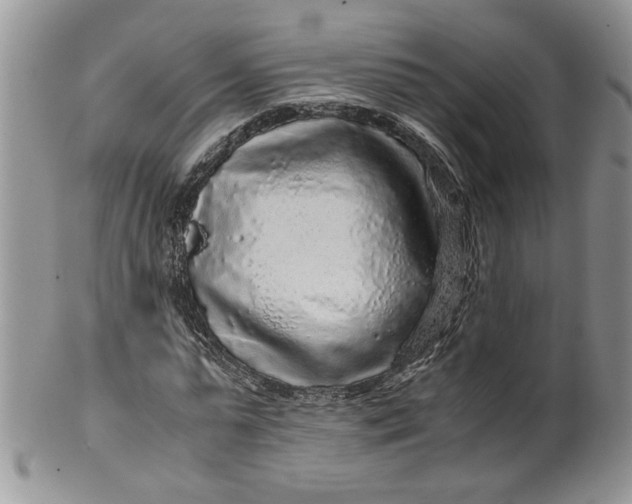 X0000099490775200806051058