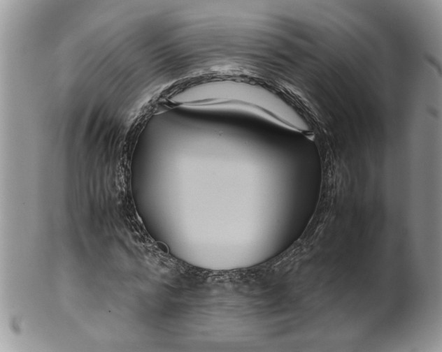 X0000099490776200806051058