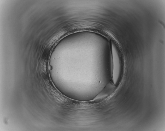 X0000099490777200806051058